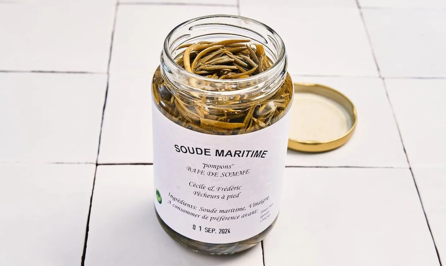 Photo de soude marine ou pompon en bocal